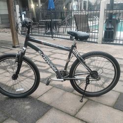 Schwinn Bike 