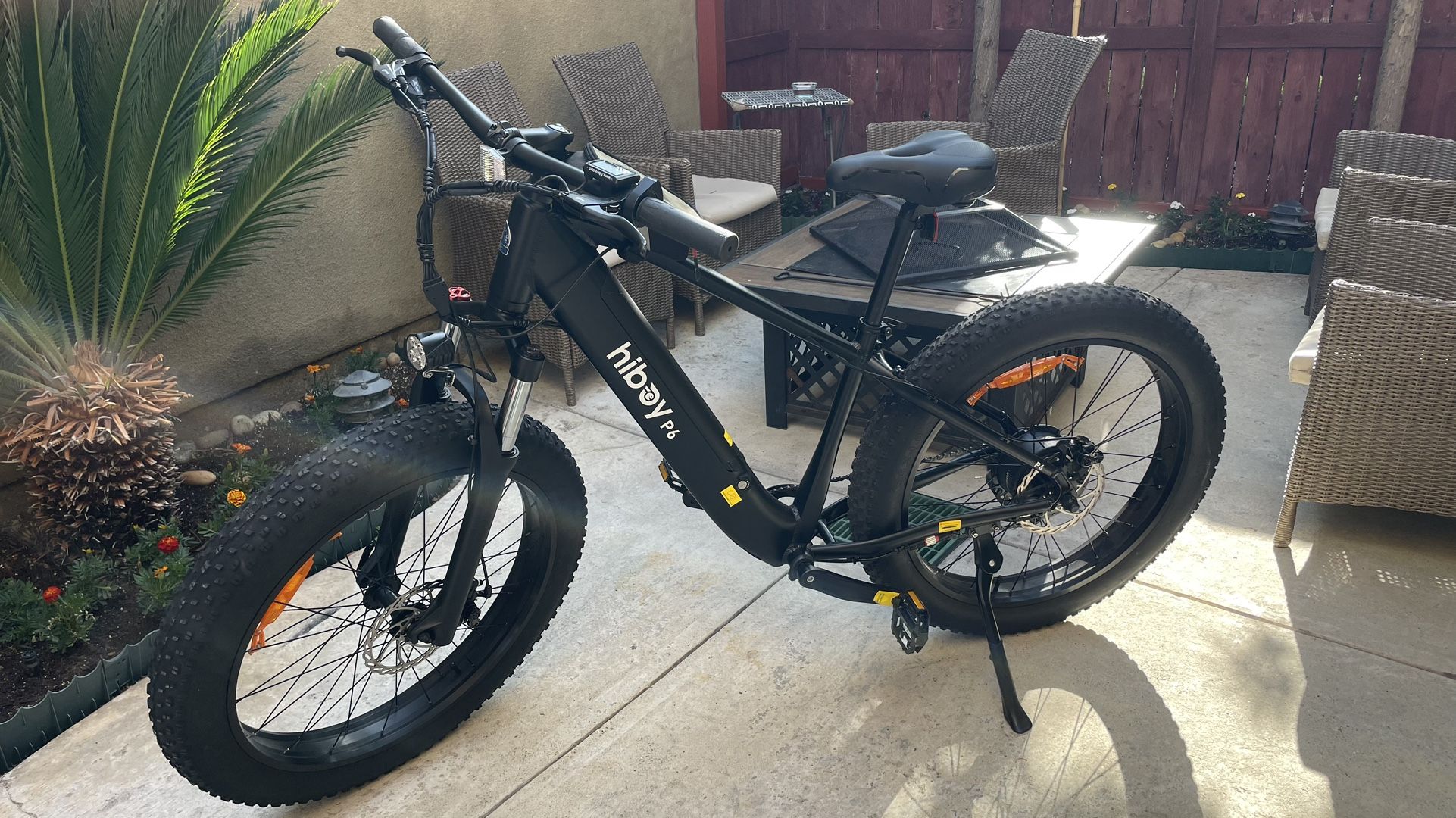 Electric Bike
