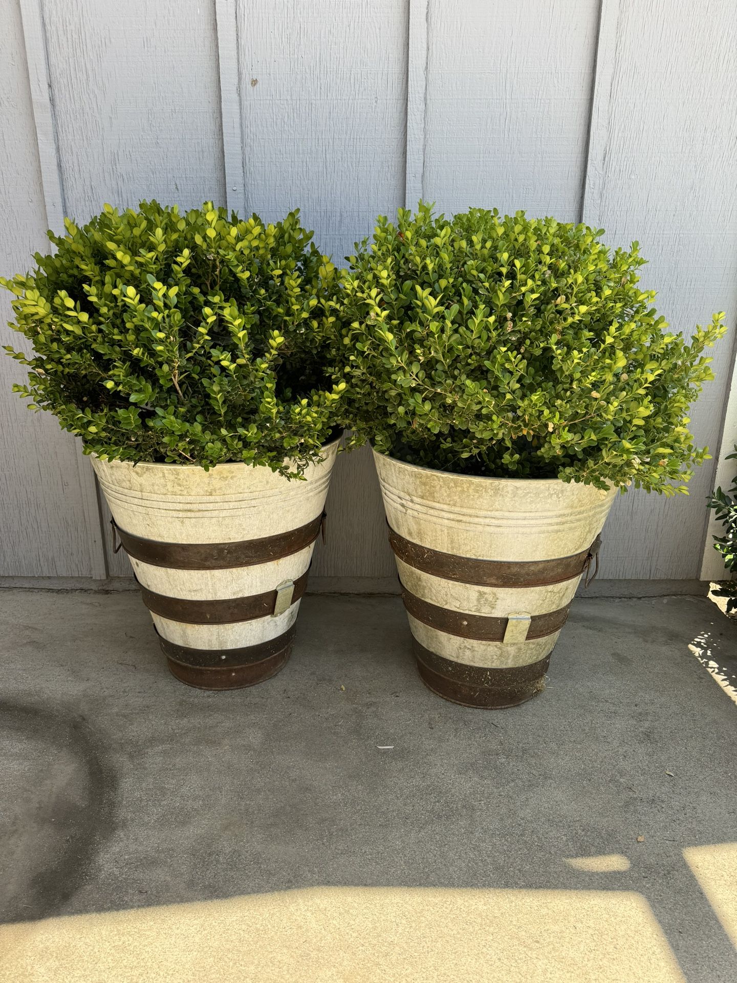 Pottery Barn Planters 