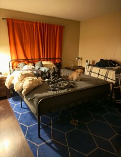 Free Cali king bed frame and mattress
