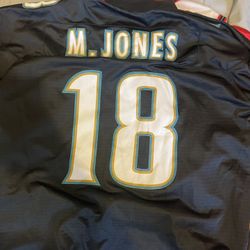 Jacksonville Jaguars