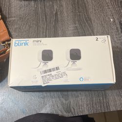 Blink Security Cameras