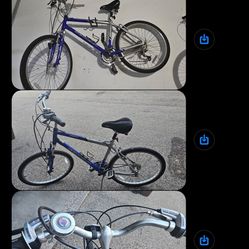 Schwinn Bike