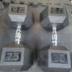 75lbs Dumbells Weights 