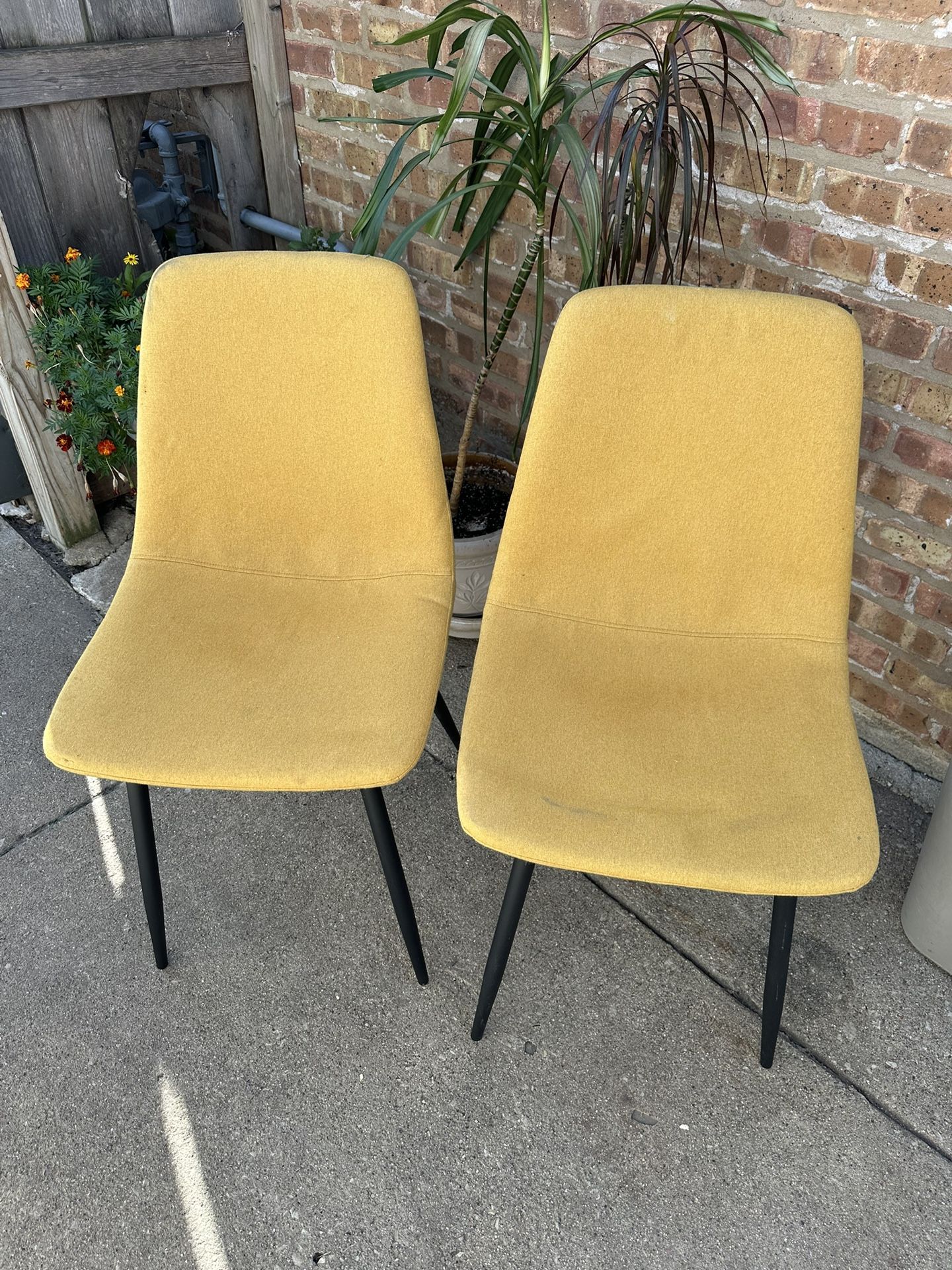 Set Of 2 Dinning Chairs 