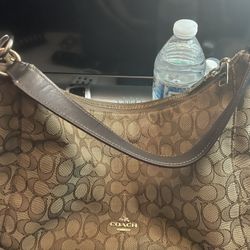 Coach Celeste Hobo Bag