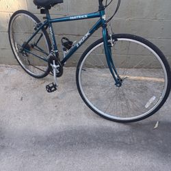 TREK size 700 Speed 21 Frame 16