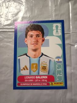 Panini FIFA World Cup Stickers cards