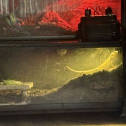Tank 