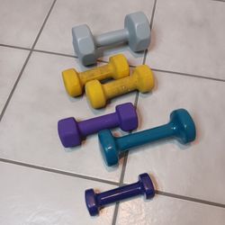 6 Dumbbell Weights Neoprene/Plastic Coated 27 Lbs