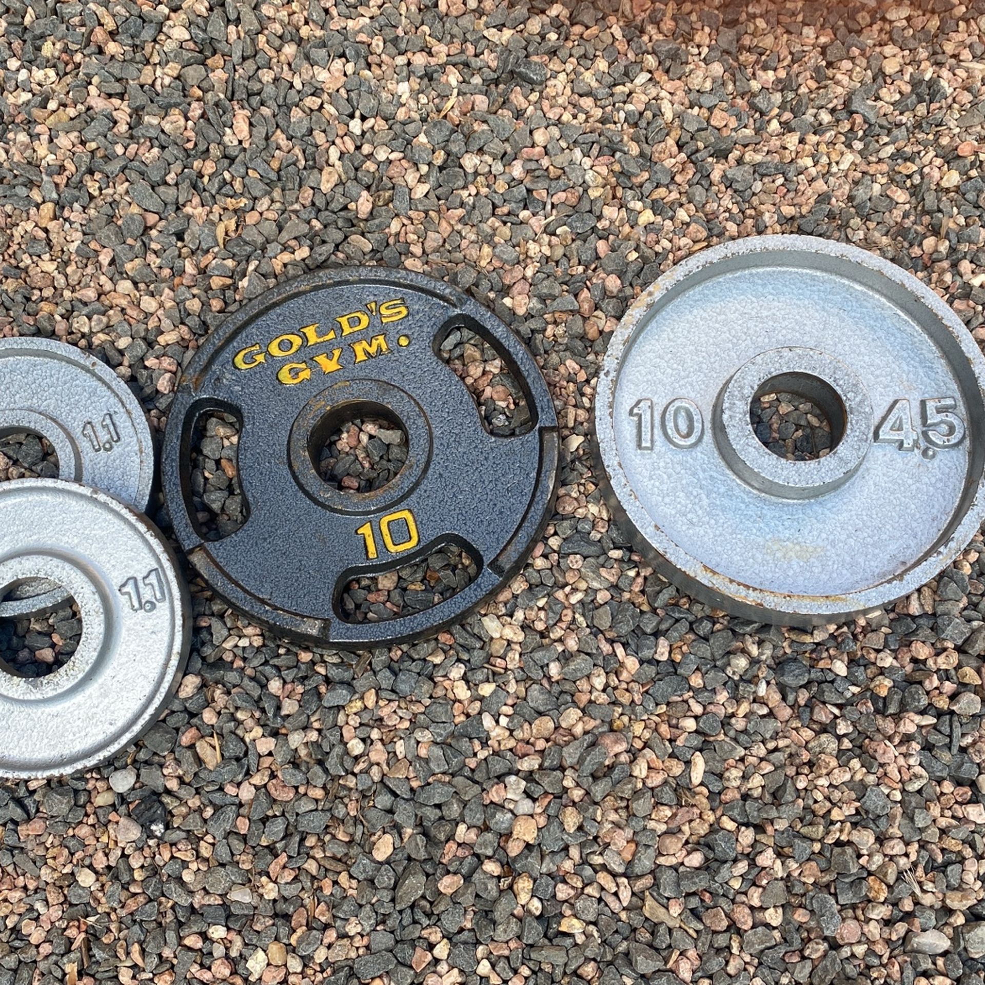 Squat/Bench Rack and Various Olympic Weights