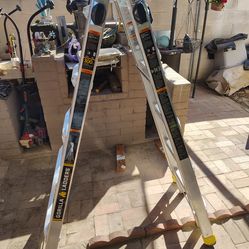 22ft Gorilla Ladder | Escalera