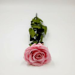 Infinity Long Lasting Preserved Flower Premium Rose with Stem - Baby Pink