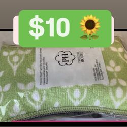 Esponja Para Lavar Trastes Ollas $10.00 Princess House Ventas Finales 