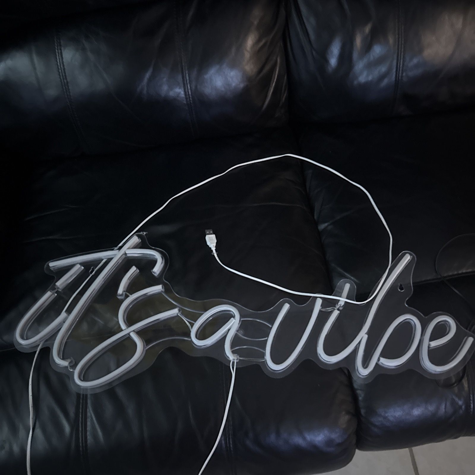It’s A Vibe Led light 