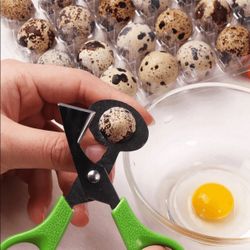 Quail Eggs