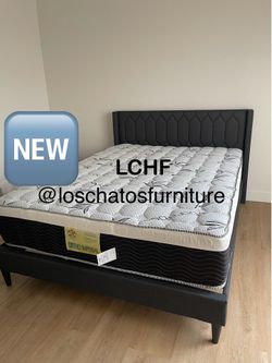 New Queen bed and mattress