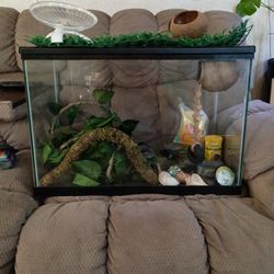 Reptile Tank 