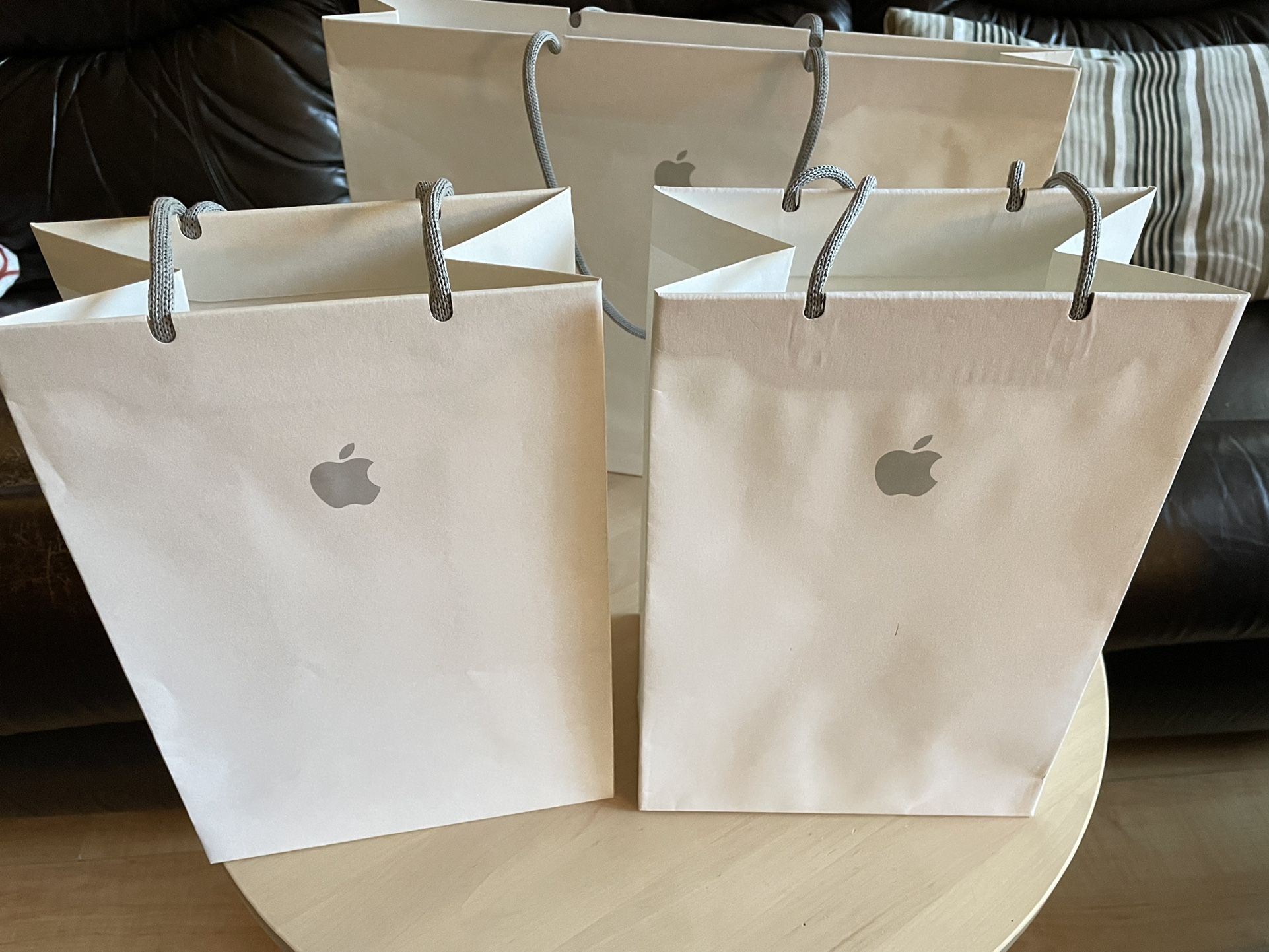 Apple Store Gift Shopping Bags