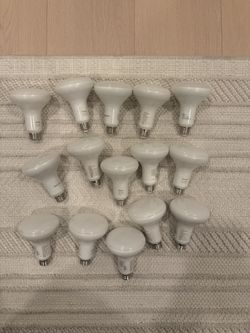 15 Color Phillips Hue Bulbs 6inch