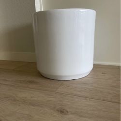 15” in Portland Nursery White Glazed Pot