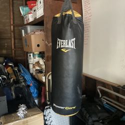 Punching Bag
