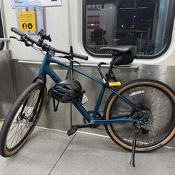 Trek Dual Sport 3 Gen 5 Size Medium 2025