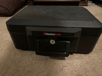 Sentry safe