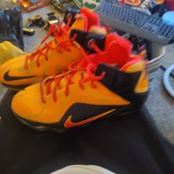Nike LeBron  Only Wore A Few Times Like Knrw  
