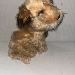 80s Dakin Benji Plush