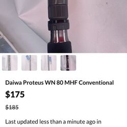 Daiwa Salt Water Rod New 8’