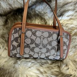 Coach Swing Zip Bag 20 