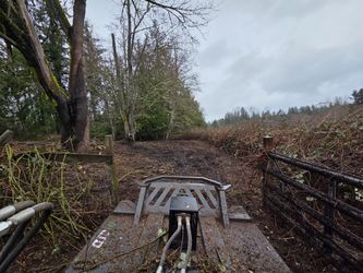 Brush Mulching & Land Clearing