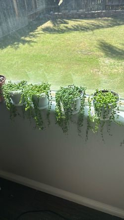 String of pearls 5$ each