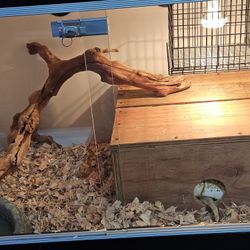 Reptile Enclosure 