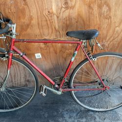 Sturdee Fixie