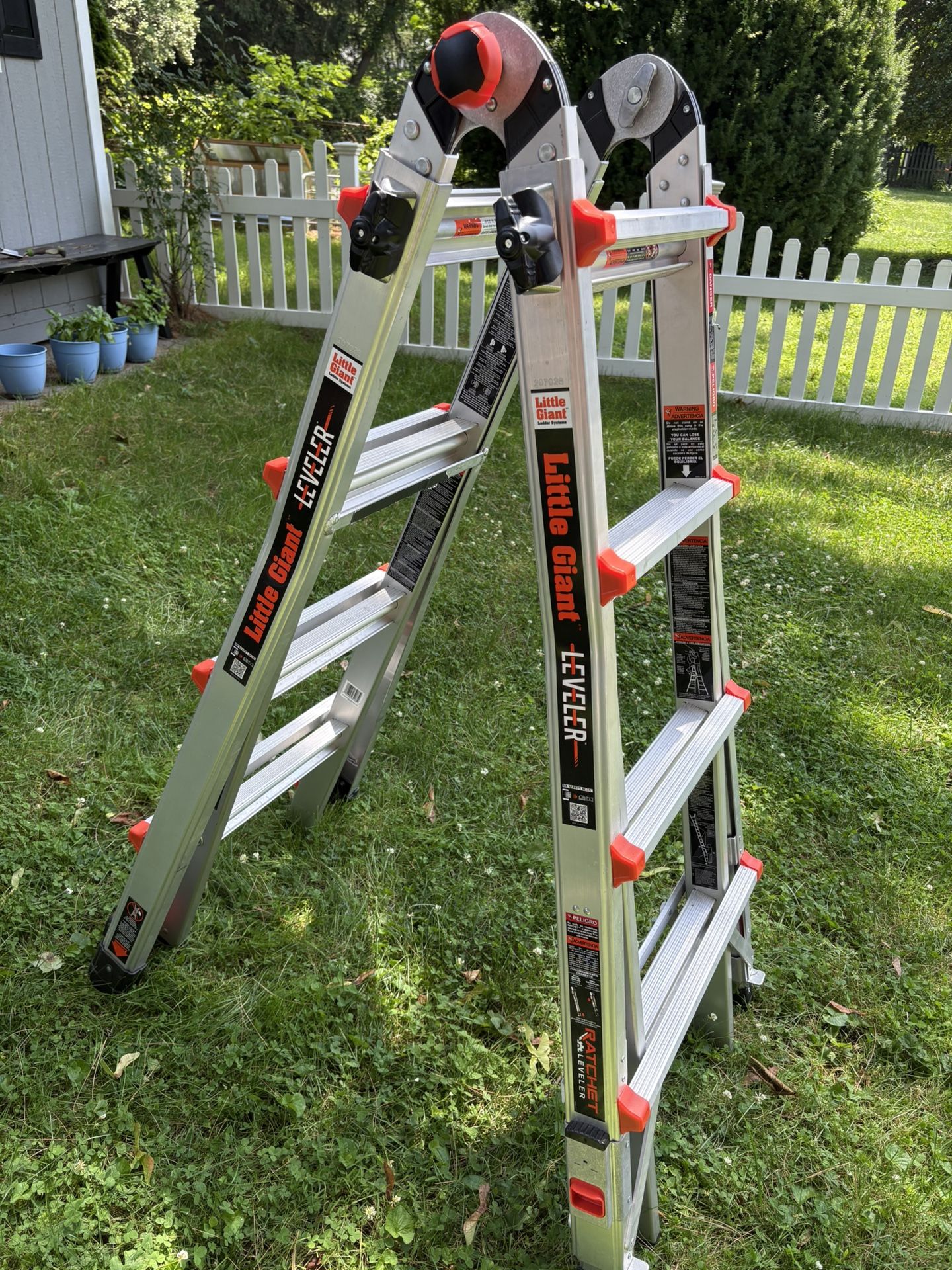 Little Giant Ladder