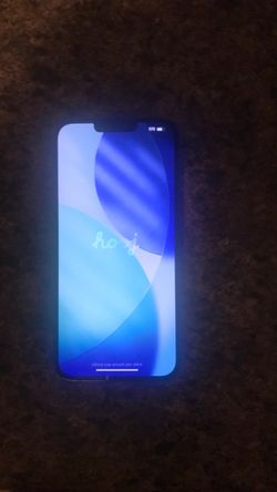 iPhone 13 Pro Max