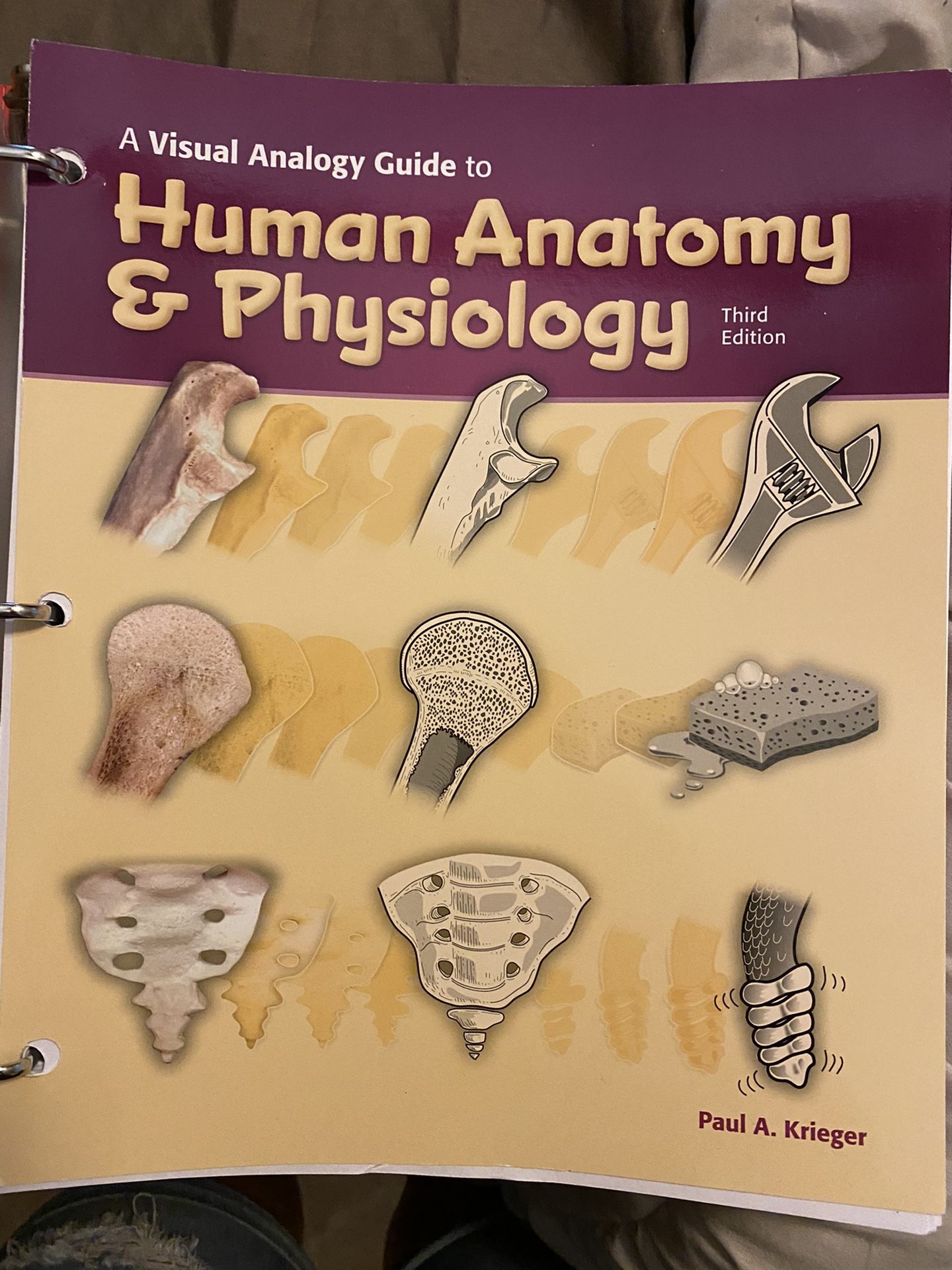 Anatomy and Physiology book