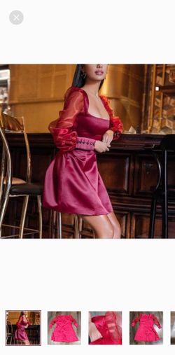 Organza Sleeve Dress