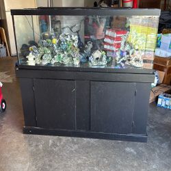 80 Gallon Aquarium with Storage