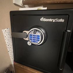 Biometric Safe