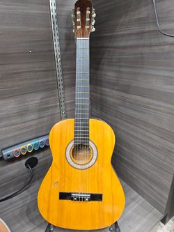 Acoustic guitar- flamingo [GNH021169]