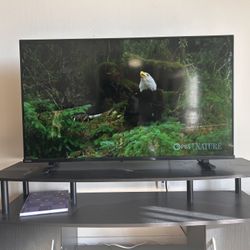 Toshiba 43”