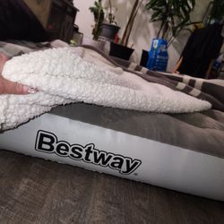 Bestway Twin Air Mattress with Built-in Pump