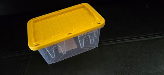 Transparent teeny tote
