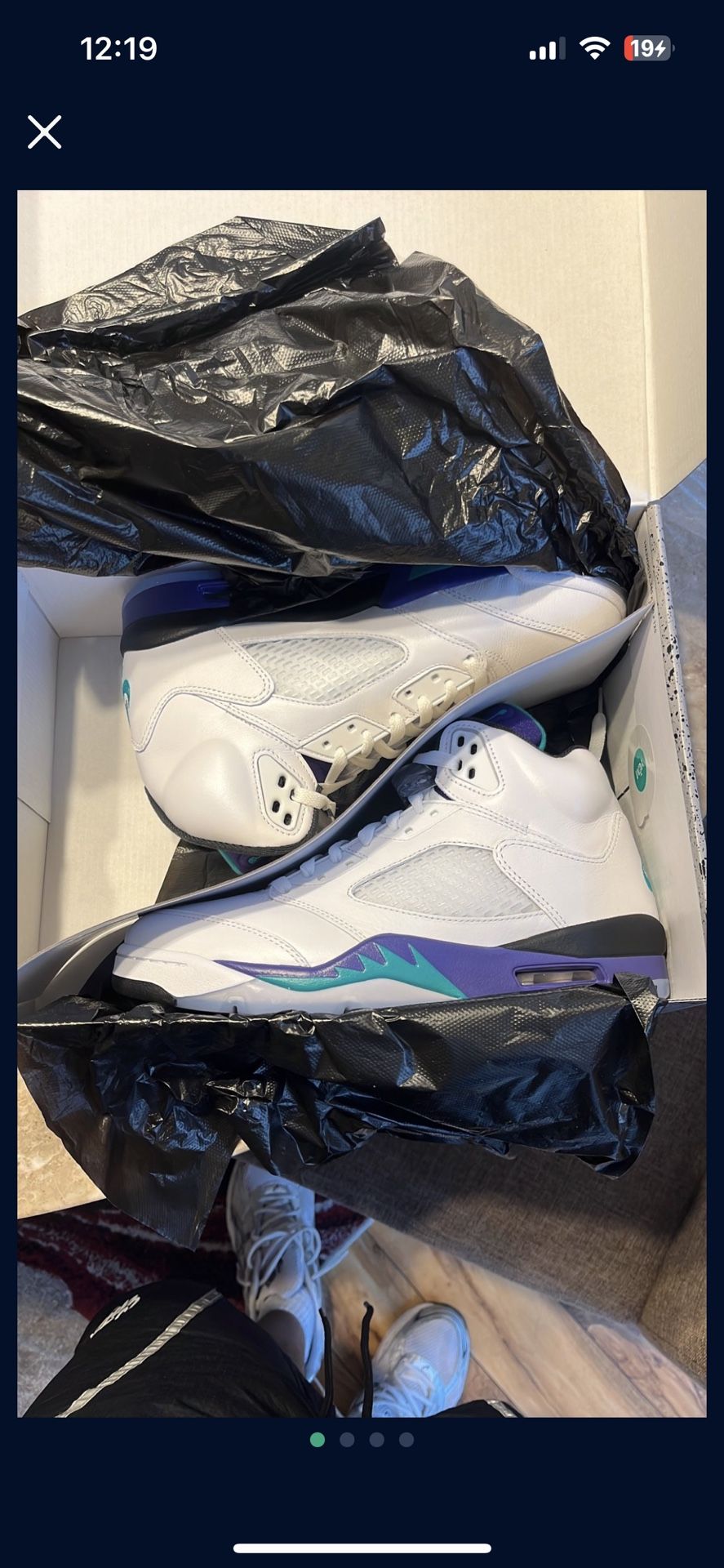 Jordan Grape 5s