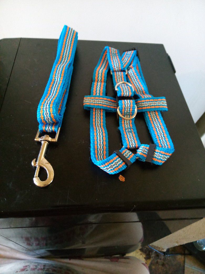 Brand New Harness And Leash Set