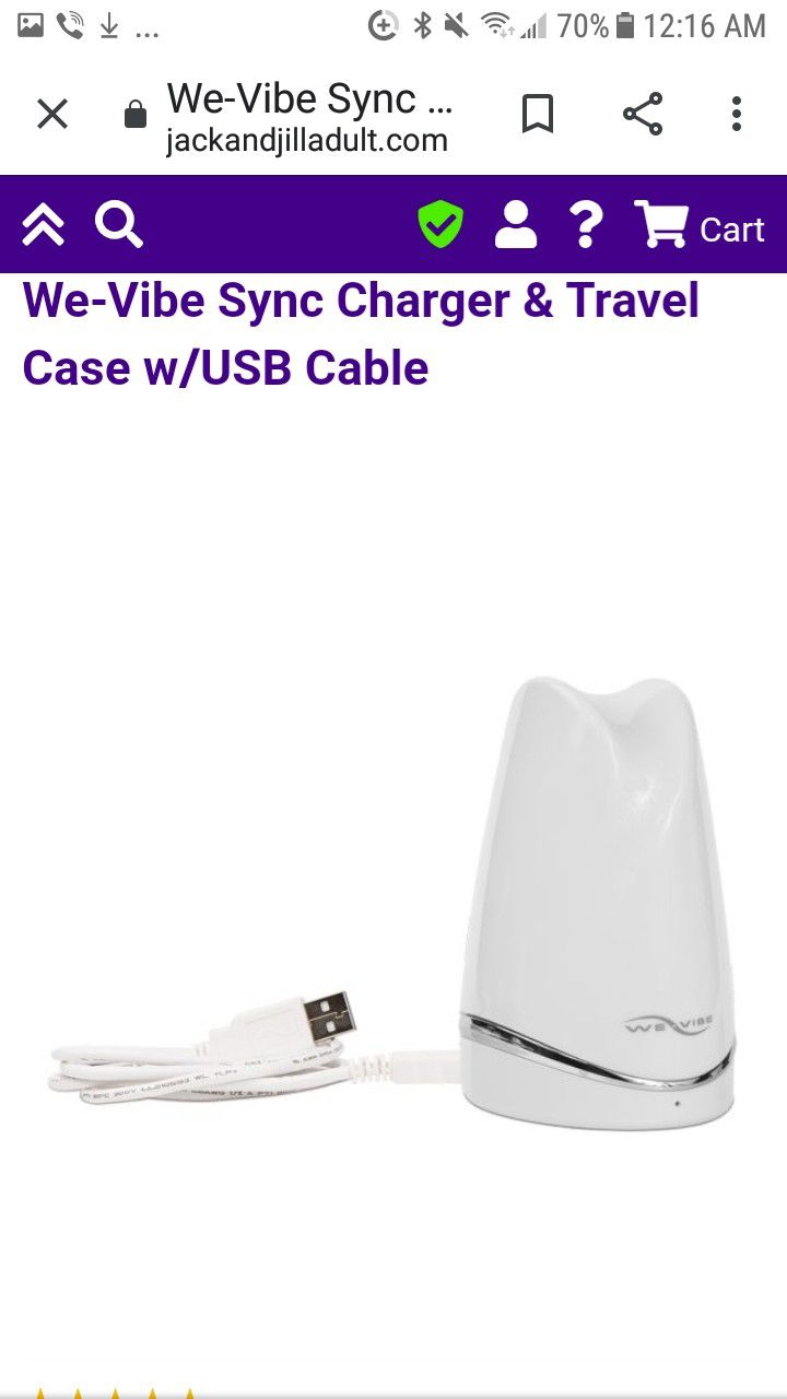 NEW We-Vibe Sync Charger, remote & Travel Case w/USB Cable