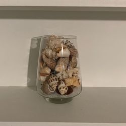 Decorative Shells In Glass Vase